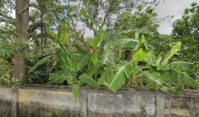 Chùa Làng Hòa Chanh