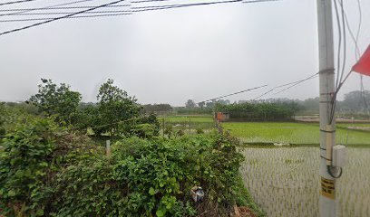 Chùa Phật Giáo. H. H c xtuy