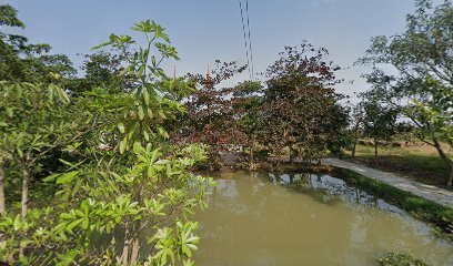 Chùa Thái Đường