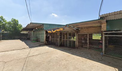 Chùa Viên Quang( Chùa Tốt Động )